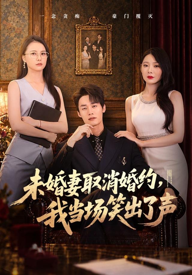 未婚妻取消婚约，我当场笑出了声海报